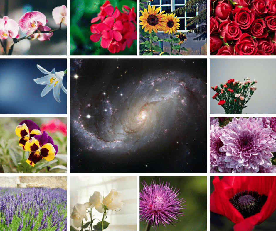 Horoscop weekend 24-25 aprilie. Ce aduce duminica floriilor