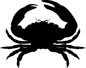 Horoscop 27 mai 2021. De joi, Racii fac o schimbare