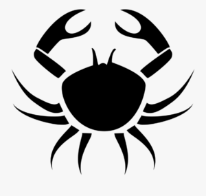 Horoscop azi 16 iunie 2021. Ziua de miercuri aduce surprize