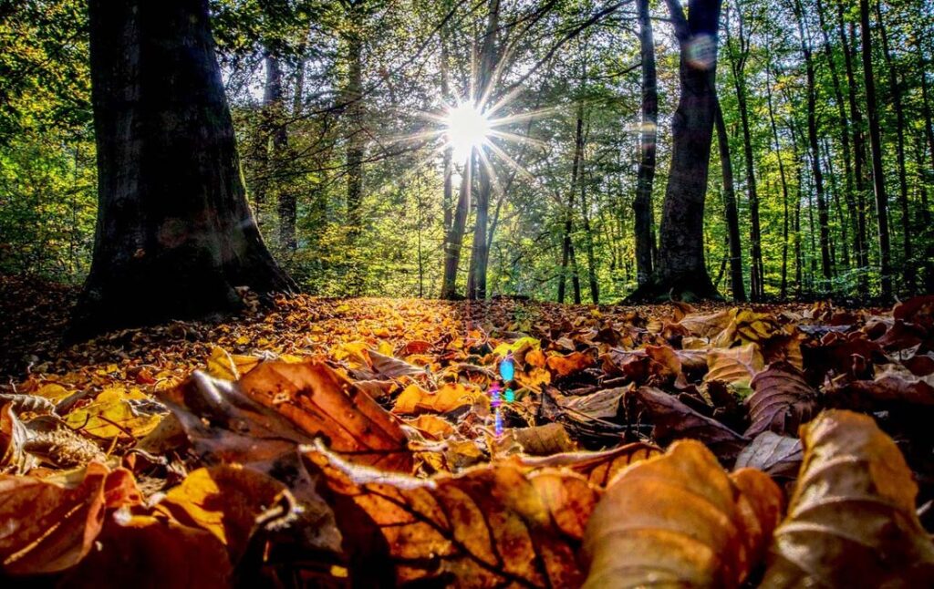 Evenimente astrologice importante în luna Octombrie 2021