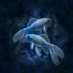 Horoscop 1 octombrie 2021. Ce aduce prima zi a acestei luni