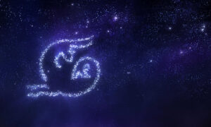 Zodia Capricorn în familie: cum se comportă acest semn