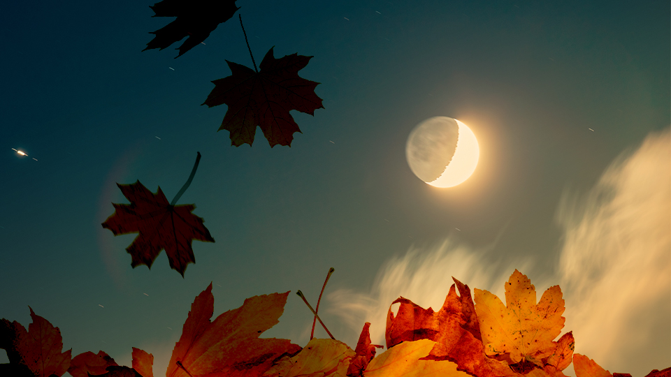 Aceste semne zodiacale vor avea cea mai bună toamnă